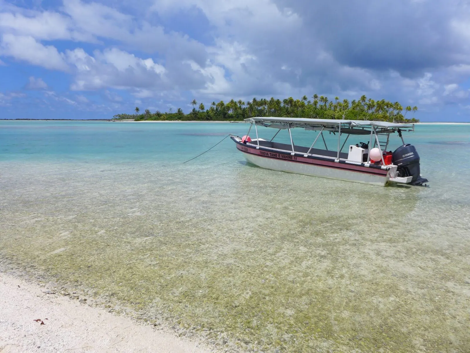 Rangiroa discovery of the reef island with motu picnic, French Polynesia