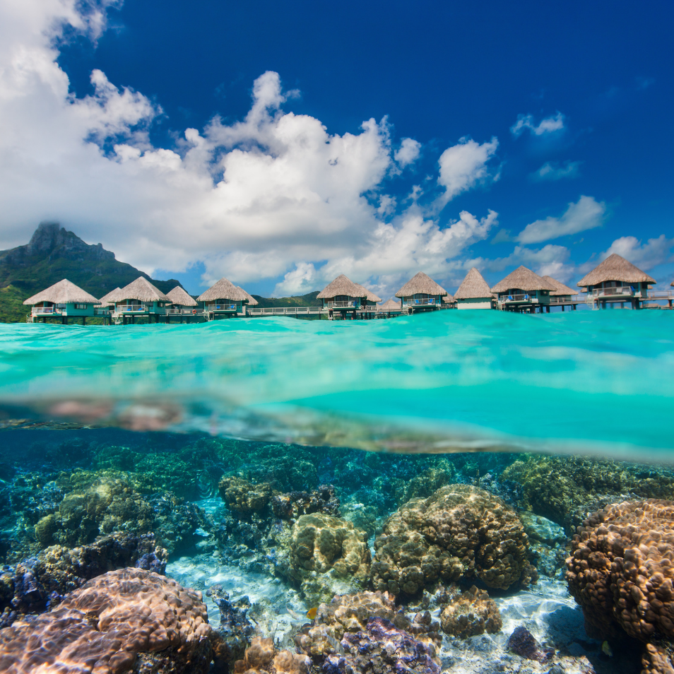 Paul gauguin cruise French Polynesia vacations