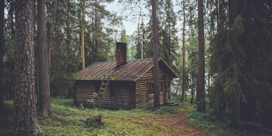 photo of brown wooden cabin in forest during daytime